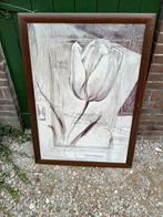 Ingelijste Prent - Tulp, Ophalen