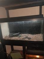 Aquarium, Dieren en Toebehoren, Vissen | Aquaria en Toebehoren, Ophalen, Zo goed als nieuw, Leeg aquarium