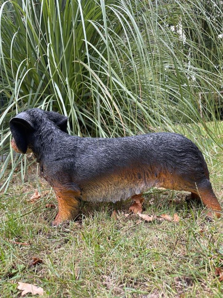 (Tuin)Beeld teckel, tekkel, hond, tuin, gazon 50cm, Tuin en Terras, Tuinbeelden, Nieuw, Dierenbeeld, Kunststof, Ophalen