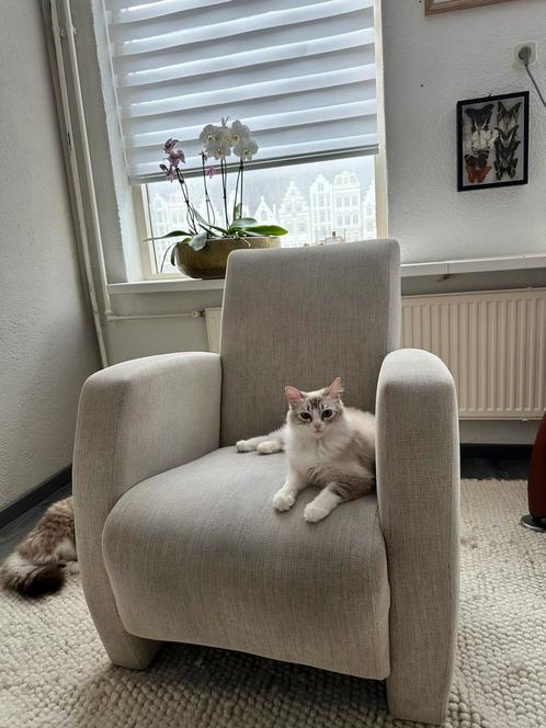 Stijlvolle designfauteui zacht grijs, Huis en Inrichting, Fauteuils, Zo goed als nieuw, 75 tot 100 cm, Ophalen