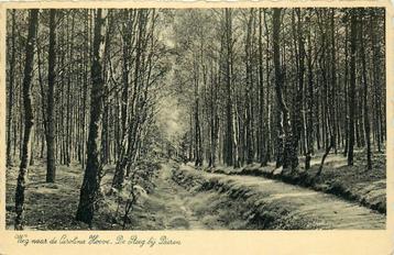 (387-229-037) De Steeg Weg naar Carolina Hoeve beschikbaar voor biedingen