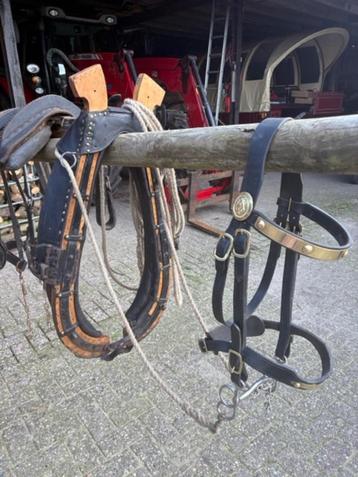 Trekpaard tuig met haam en hoofdstel met koperbeslag beschikbaar voor biedingen