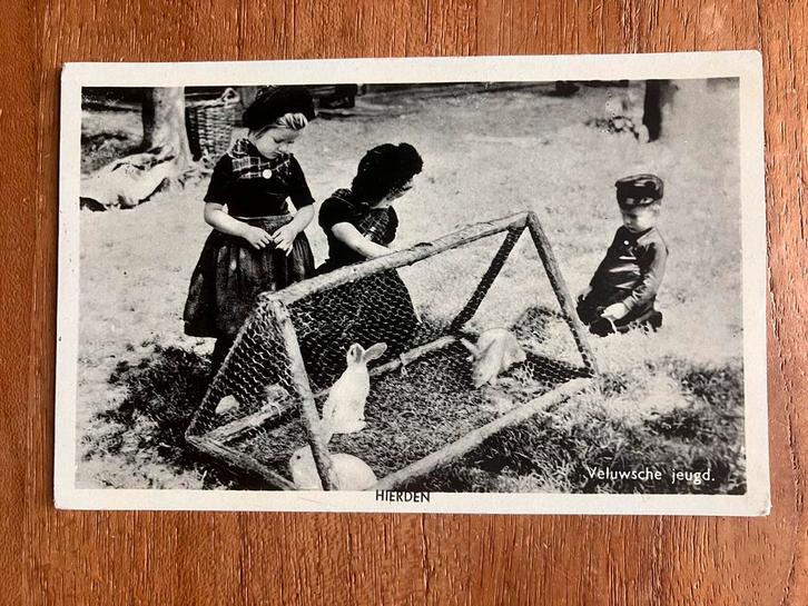 Hierden. Veluwsche jeugd met konijnen., Verzamelen, Ansichtkaarten | Nederland, Gelopen, Gelderland, 1940 tot 1960, Ophalen of Verzenden