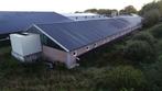 Ca. 920 m² staalconstructie incl. sandwich dakpanelen 40/75, Doe-het-zelf en Verbouw, 4 tot 8 cm, Gebruikt, Hardschuim (Pir), 15 m² of meer