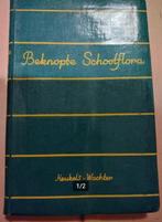 Beknopte schoolflora voor nederland,  Heukels en Wachter, Ophalen of Verzenden, Gelezen