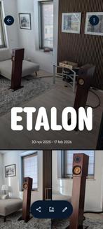 Etalon Supraton 2 inclusief luidspreker kabel.