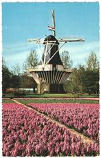 910737 Lisse  Keukenhof molen Nette oude kaart Onbeschreven, Verzamelen, Ansichtkaarten | Nederland, Ophalen of Verzenden, 1960 tot 1980