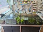 Plantenbak    aquarium, Dieren en Toebehoren, Vissen | Aquaria en Toebehoren, Ophalen, Zo goed als nieuw