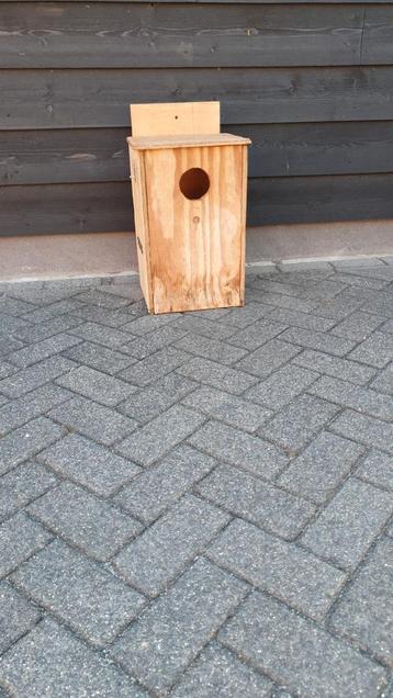 Grote vogel blokken beschikbaar voor biedingen