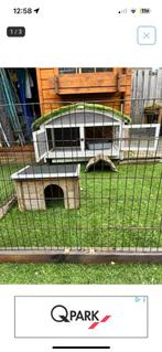 konijnenhok met ren, Dieren en Toebehoren, Konijnen