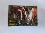 kaart paard veulen dier, Ophalen, 1980 tot heden, Ongelopen, Paard