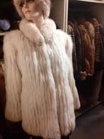 Echte witte polar fox bontjas bont jas bontjasje maat M, Kleding | Dames, Jassen | Winter, Ophalen of Verzenden, Zo goed als nieuw