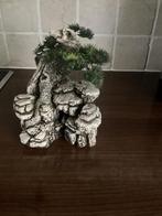 Te koop leuk object voor aquarium, Dieren en Toebehoren, Ophalen of Verzenden, Gebruikt, Plant(en), Steen of Hout