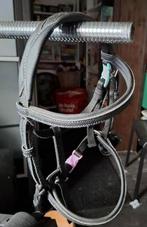 Shetlander hoofdstel, Dieren en Toebehoren, Ophalen, Zo goed als nieuw, Overige soorten