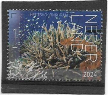 Nederland 2024 Beleef de Natuur Bonaire - Hertshoornkoraal beschikbaar voor biedingen