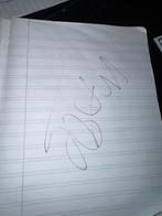 Mark rutte handtekening, Ophalen of Verzenden, Zo goed als nieuw, Eenpersoons