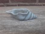 Betonnen schelp bakje schelpenbakje beton, Tuin en Terras, Ophalen of Verzenden, Nieuw