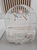 Koei zonder parkiet, Dieren en Toebehoren, Ophalen of Verzenden, Zo goed als nieuw, Hout, Vogelkooi