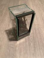 Glazen terrarium, Dieren en Toebehoren, Overige soorten