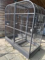 Papegaaien kooi en standaard, Dieren en Toebehoren, Vogels | Parkieten en Papegaaien, Mannelijk, Papegaai