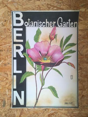 Berlin Botanischer Garten poster bloem beschikbaar voor biedingen