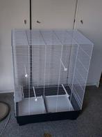 Prachtige vogelkooi, Dieren en Toebehoren, Ophalen of Verzenden, Zo goed als nieuw, Metaal, Vogelkooi