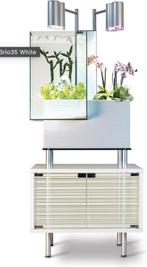 Brio 35 aquaponics aquarium, Ophalen, Nieuw, Leeg aquarium