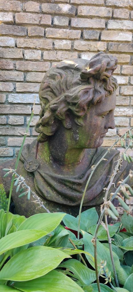 Monumentaal beeld Apollo de Belvedère 74x58x33, Antiek en Kunst, Kunst | Beelden en Houtsnijwerken, Ophalen