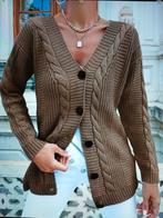 Bruin Vest - Maat 44 (L) - Nieuw, Ophalen of Verzenden, Nieuw, Maat 42/44 (L), Bruin