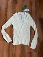 Nieuwe Guess trui S, Kleding | Dames, Truien en Vesten, Nieuw, Ophalen of Verzenden, Maat 36 (S), Overige kleuren