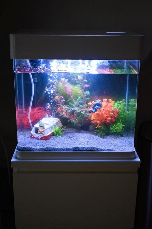 Aquarium Superfish Panorama 35, Dieren en Toebehoren, Vissen | Aquaria en Toebehoren, Zo goed als nieuw, Leeg aquarium, Ophalen