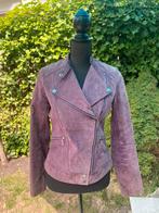 Mexx echt suede jasje, Mexx, Paars, Ophalen of Verzenden, Maat 36 (S)