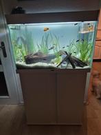 Wit aquarium met meubel en veel toebehoren 112L, Ophalen, Leeg aquarium
