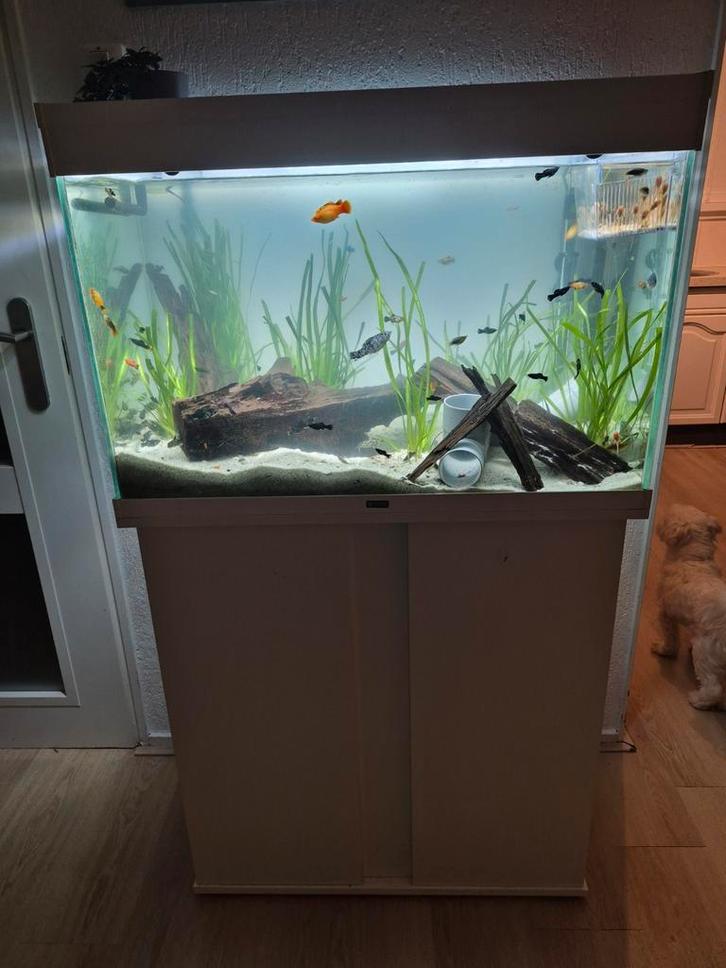 Wit aquarium met meubel en veel toebehoren 112L, Dieren en Toebehoren, Vissen | Aquaria en Toebehoren, Leeg aquarium, Ophalen