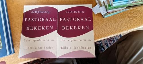 Ds. D.J Budding - Pastoraal bekeken, Boeken, Godsdienst en Theologie, Zo goed als nieuw, Christendom | Protestants, Ophalen of Verzenden