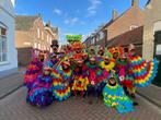 Te koop prachtige vogelpakken incl foamhoeden!, Kleding | Dames, Ophalen of Verzenden, Zo goed als nieuw