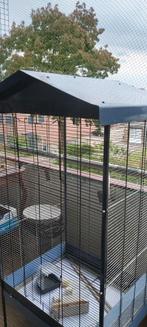 Vogels kooi 70 cm B 56 Cm D 158 cm H, Dieren en Toebehoren, Ophalen of Verzenden, Zo goed als nieuw, Hout, Vogelkooi