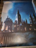 Harry Potter grote poster, Huis en Inrichting, Ophalen of Verzenden, Zo goed als nieuw