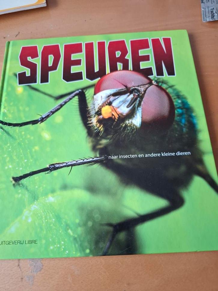Boek: Speuren naar insecten en kleine dieren, Boeken, Kinderboeken | Jeugd | onder 10 jaar, Zo goed als nieuw, Non-fictie, Ophalen of Verzenden