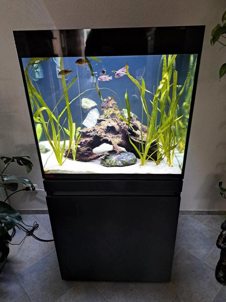 Aquarium Eheim Incperia 230 l filter prof 4+ met verwarming, Dieren en Toebehoren, Vissen | Aquaria en Toebehoren, Zo goed als nieuw
