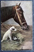 Poes en hond vinden het gezellig bij het paard in de stal, Verzamelen, Ansichtkaarten | Dieren, Gelopen, Voor 1920, Verzenden