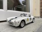 1:18 Ferrari 250 GT SWB #19 1961 Jouef Evolution / JJTOP, Hobby en Vrije tijd, Modelauto's | 1:18, Overige merken, Ophalen of Verzenden