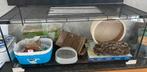 Knaagdier terrarium + materialen, Hamster, Zo goed als nieuw, Hok, 75 tot 110 cm