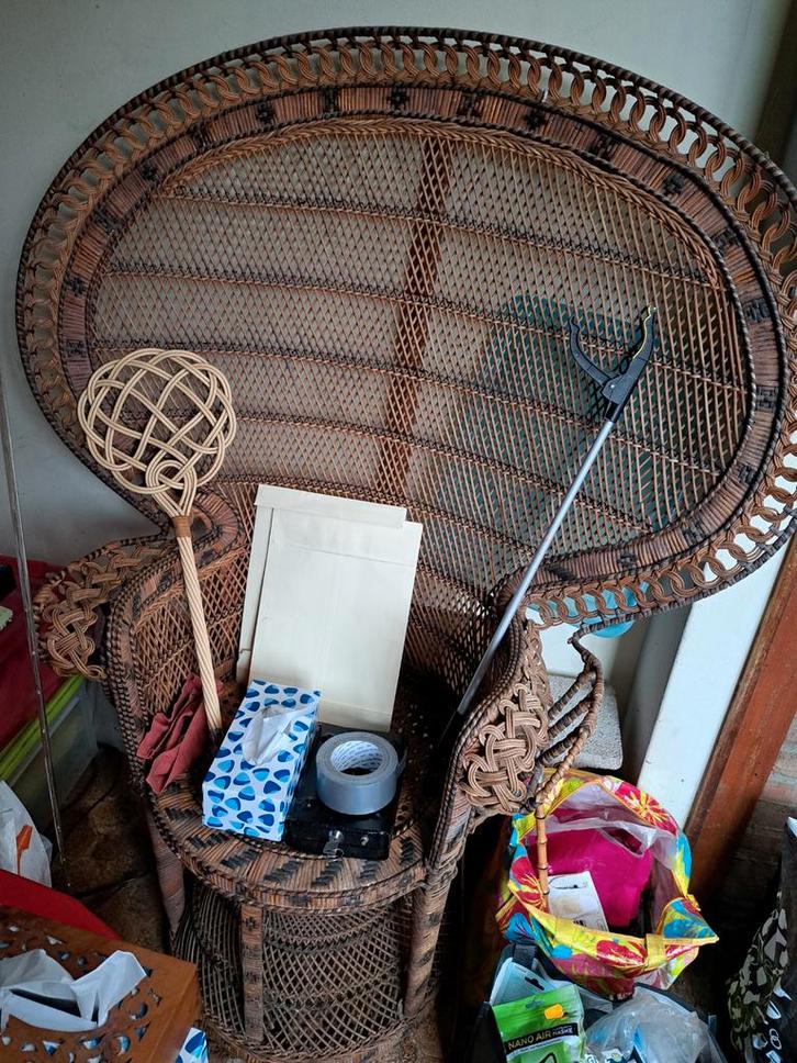 Vintage Pauwenstoel, Antiek en Kunst, Antiek | Meubels | Stoelen en Banken, Ophalen