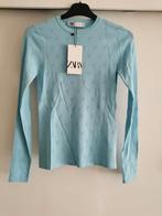 ZARA pointelle trui mt. S, Kleding | Dames, Truien en Vesten, Nieuw, Blauw, ZARA, Maat 36 (S)