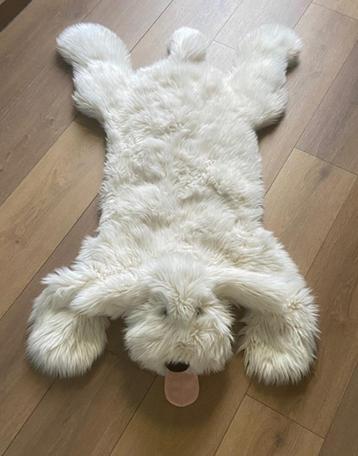 Prachtig vloerkleed hond beschikbaar voor biedingen