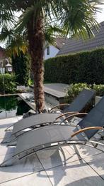 Luxe ligbedden nu 1 + 1 samen 1399 euro, Verzenden, Nieuw