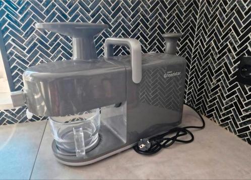 Triest Greenstar 5 Slowjuicer | Grijs - RPM 110, Witgoed en Apparatuur, Juicers, Zo goed als nieuw, Slowjuicer, Ophalen