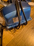 Koi vijver pomp AP 45., Karper of Koi