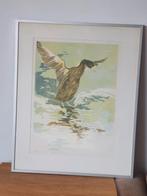 litho Joke Struik opvliegende Eend gen. en gesign 5 v d 15, Ophalen